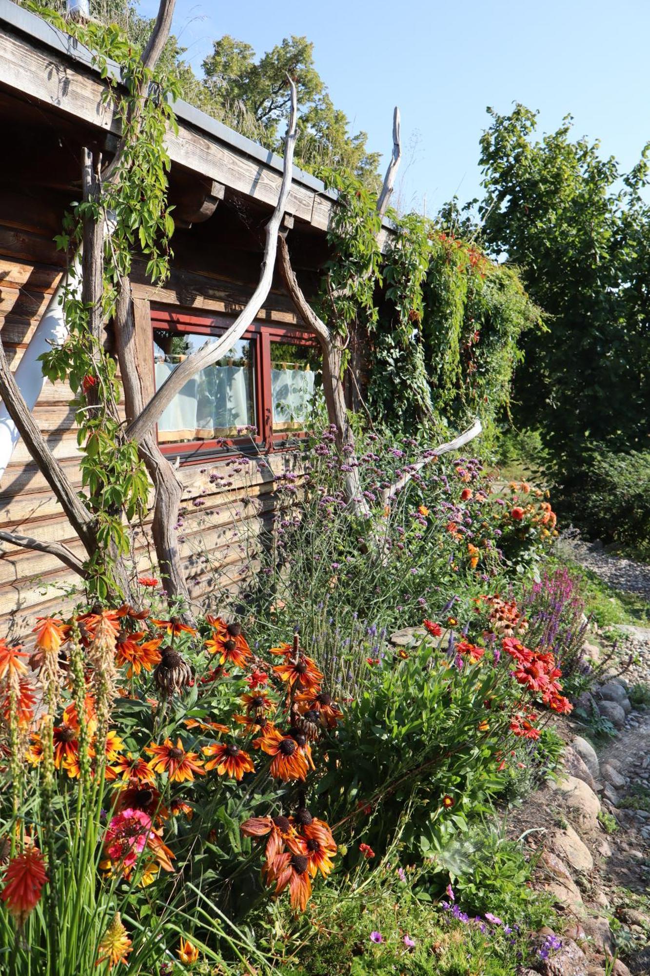Blockhaus Zahren Villa Penzlin Luaran gambar